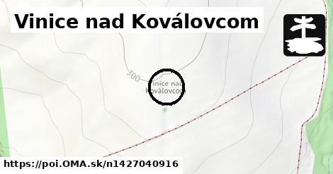 Vinice nad Koválovcom