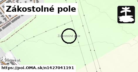 Zákostolné pole