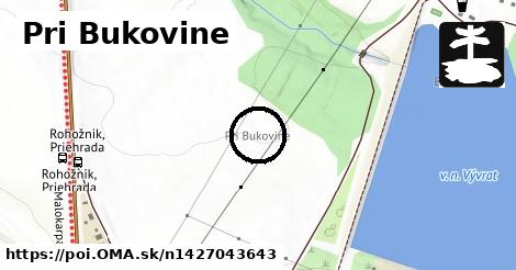 Pri Bukovine