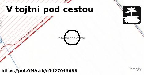 V tojtni pod cestou