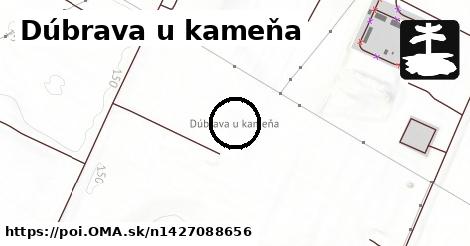 Dúbrava u kameňa