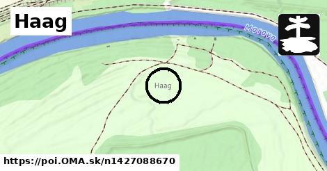 Haag