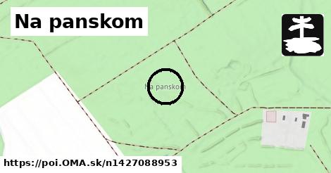 Na panskom