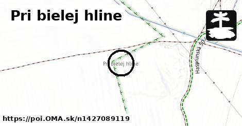 Pri bielej hline