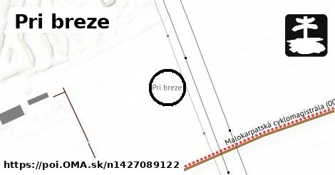 Pri breze