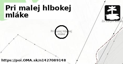 Pri malej hlbokej mláke