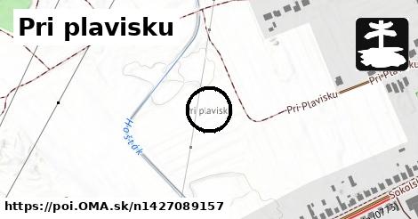 Pri plavisku