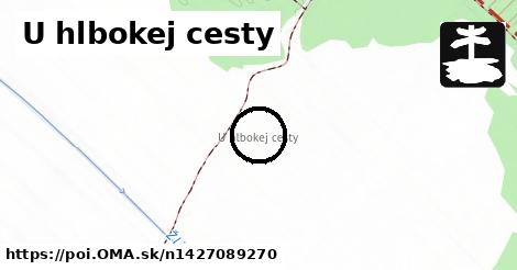 U hlbokej cesty