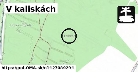 V kaliskách