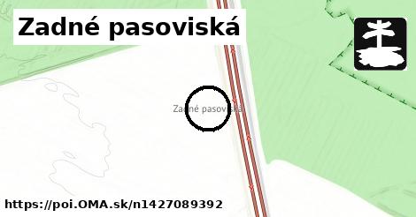 Zadné pasoviská