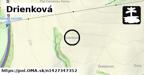 Drienková