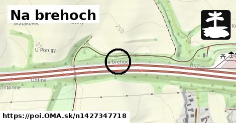 Na brehoch