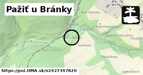 Pažiť u Bránky