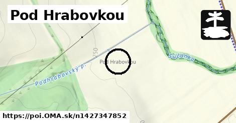 Pod Hrabovkou