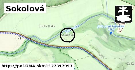 Sokolová