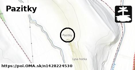 Pazitky