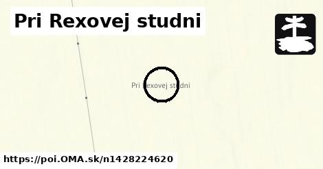 Pri Rexovej studni