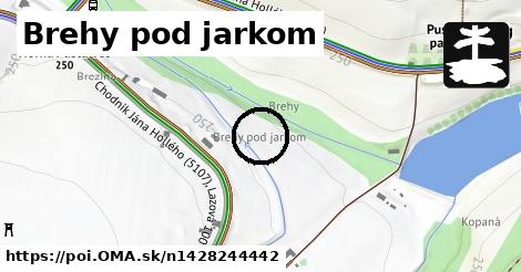 Brehy pod jarkom