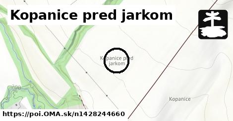 Kopanice pred jarkom