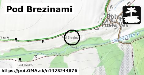 Pod Brezinami