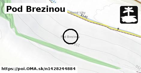 Pod Brezinou