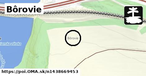 Bôrovie