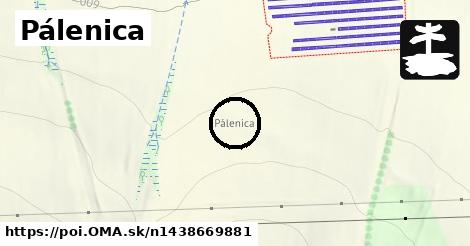 Pálenica