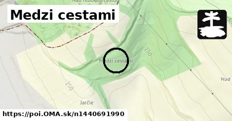 Medzi cestami