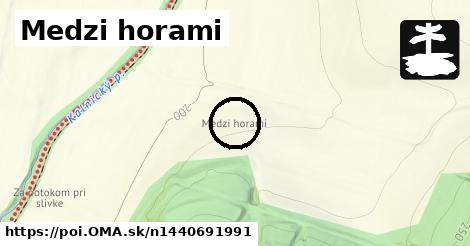 Medzi horami