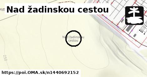 Nad žadinskou cestou