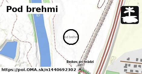 Pod brehmi