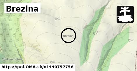 Brezina