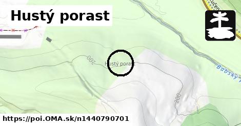 Hustý porast