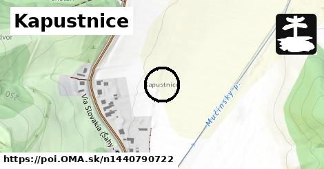 Kapustnice