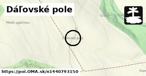 Dáľovské pole