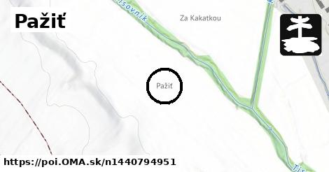 Pažiť