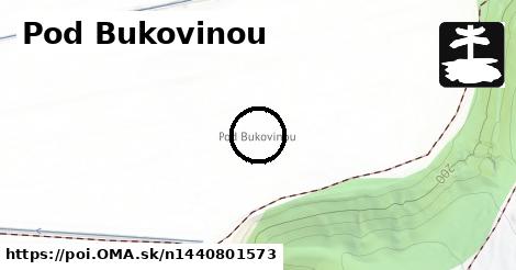 Pod Bukovinou