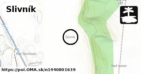 Slivník