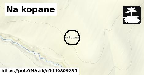 Na kopane