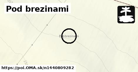 Pod brezinami