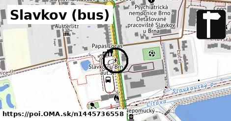 Slavkov (bus)