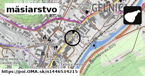 mäsiarstvo