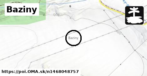 Baziny