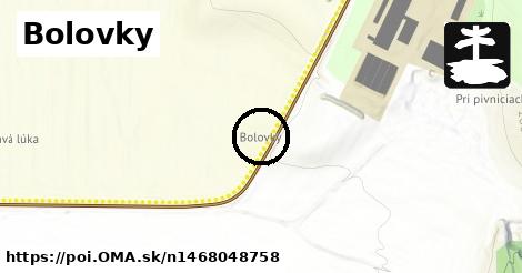 Bolovky