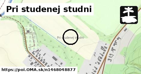 Pri studenej studni