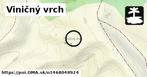 Viničný vrch