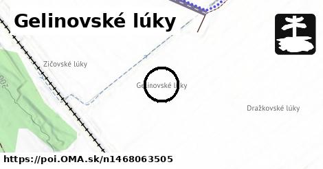 Gelinovské lúky