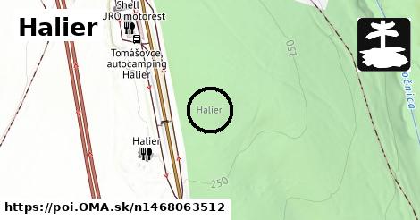 Halier