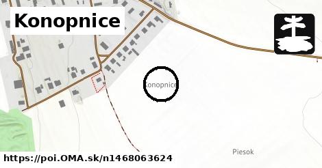 Konopnice