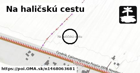 Na haličskú cestu